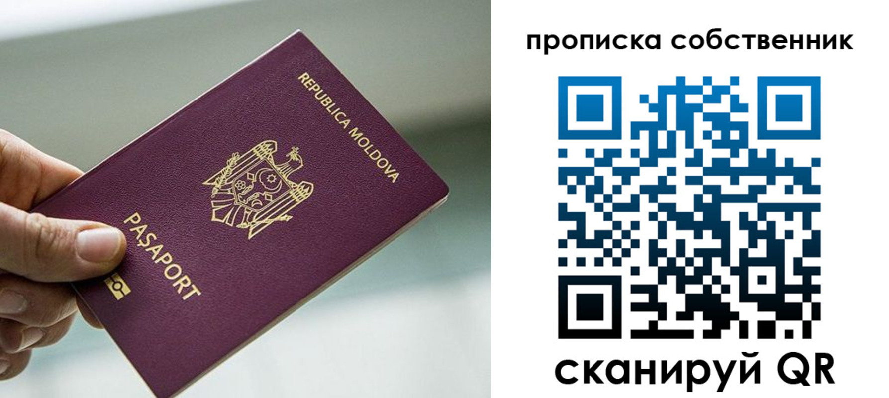 прописка паспорт в Лузе